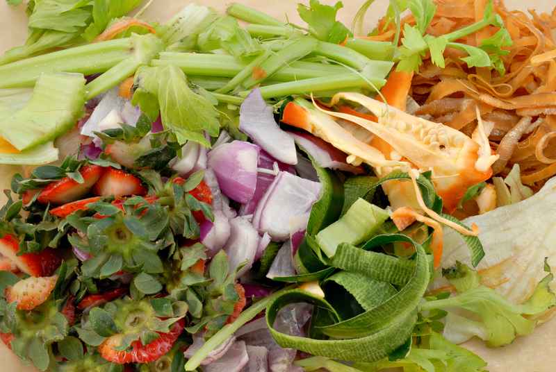 Redefine Clean with Expert Home Carpet and Hardwood Strategies